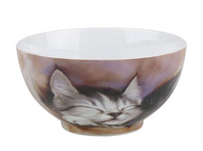 Sleeping kitten - bowl