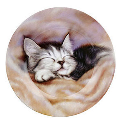 Sleeping kitten - plate