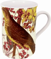Nature post./Butterfly red - hrnek