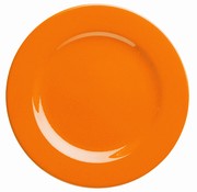 Dinner plate/Oran�ov� - m�lk� tal��