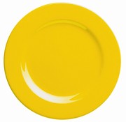 Dinner plate/�lut� - m�lk� tal��