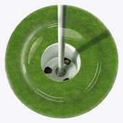 Golf plate