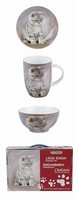 Tiger striped kitten - sn�da�ov� sada