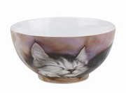Sleeping kitten - bowl