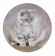 Tiger striped kitten - plate